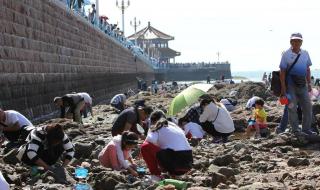 青岛至海南快递要多长时间 青岛到海南旅游